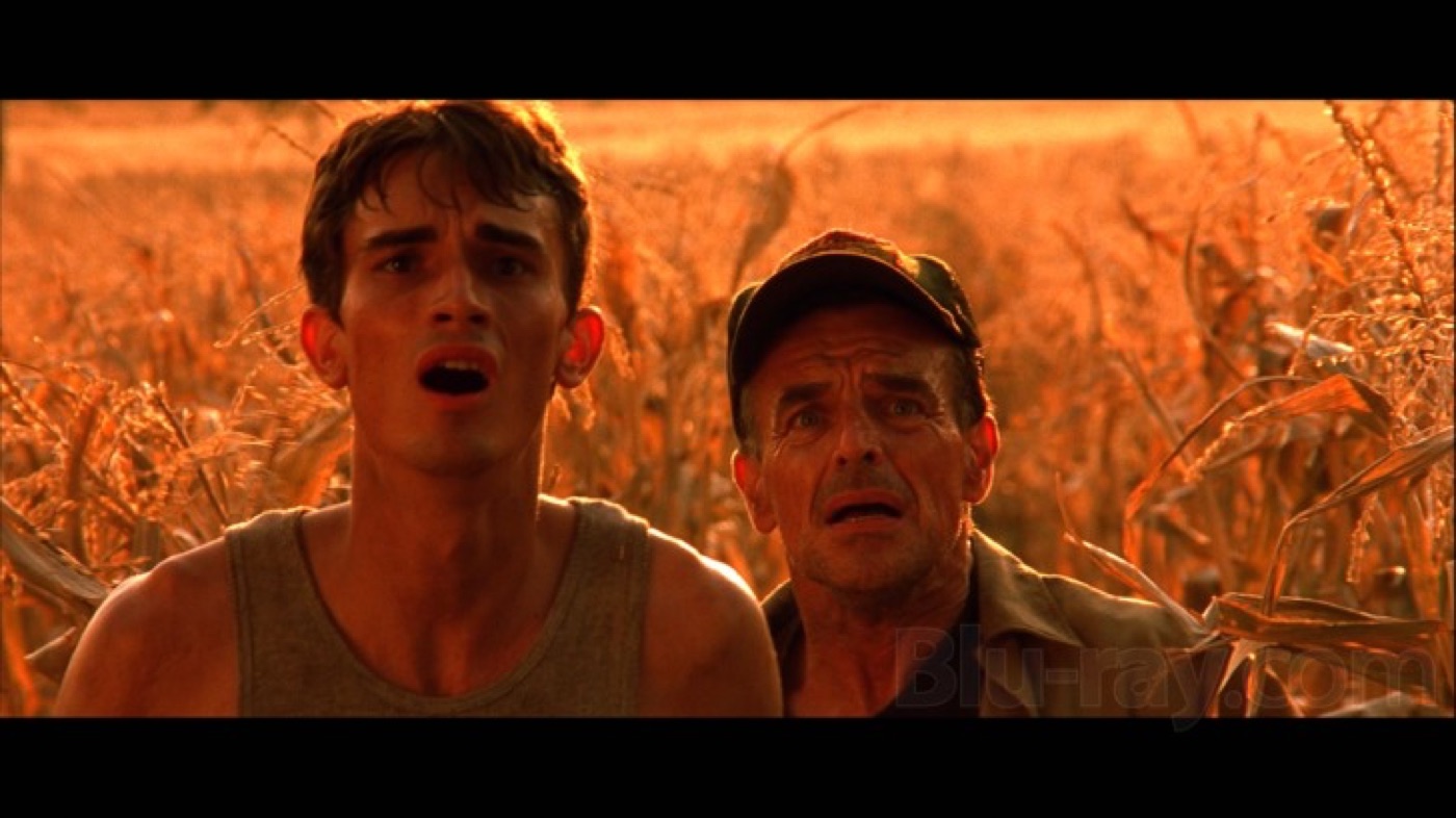 Luke Edwards in a cornfield in Jeepers Creepers 2